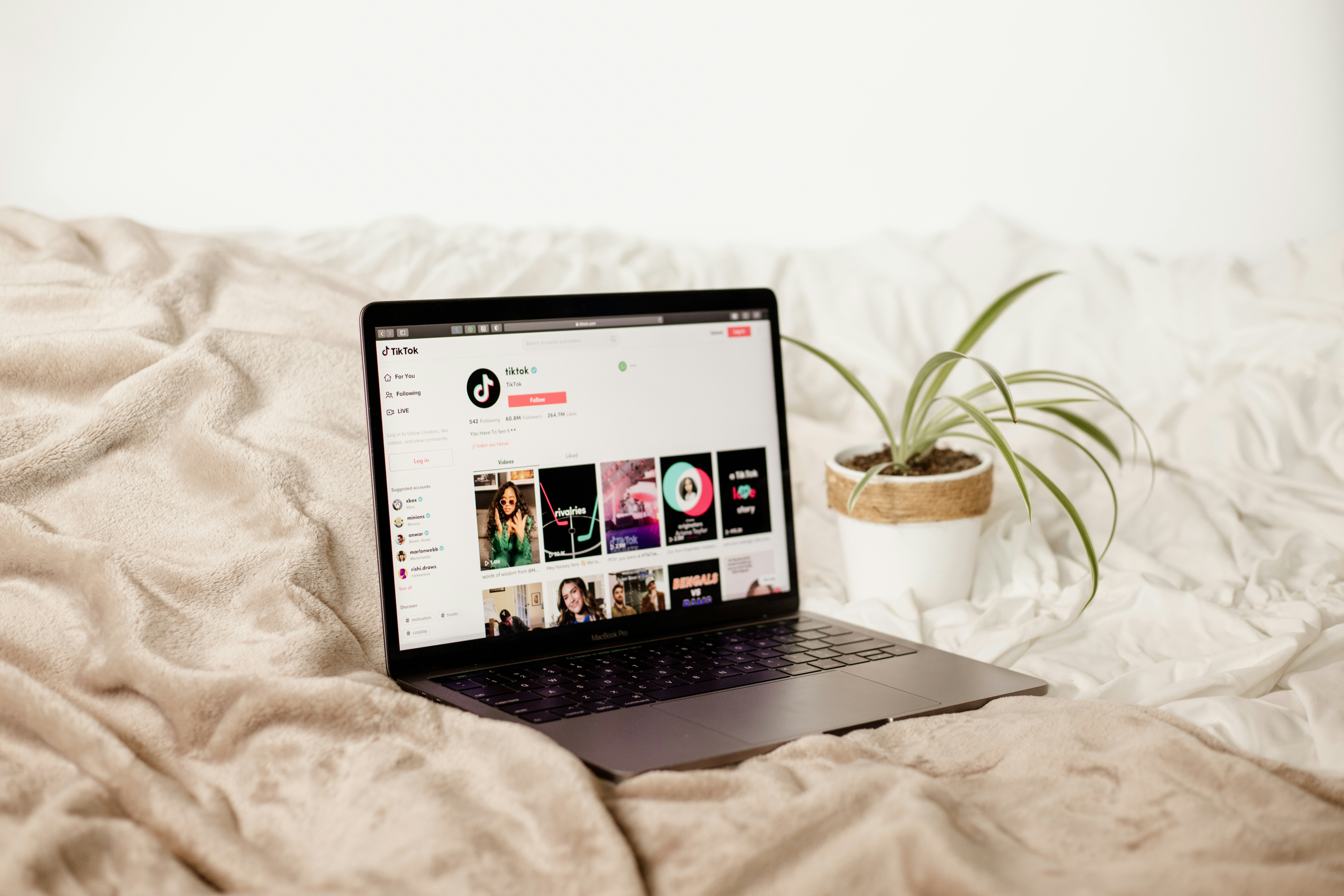 TikTok UGC Examples to Learn From and Grow